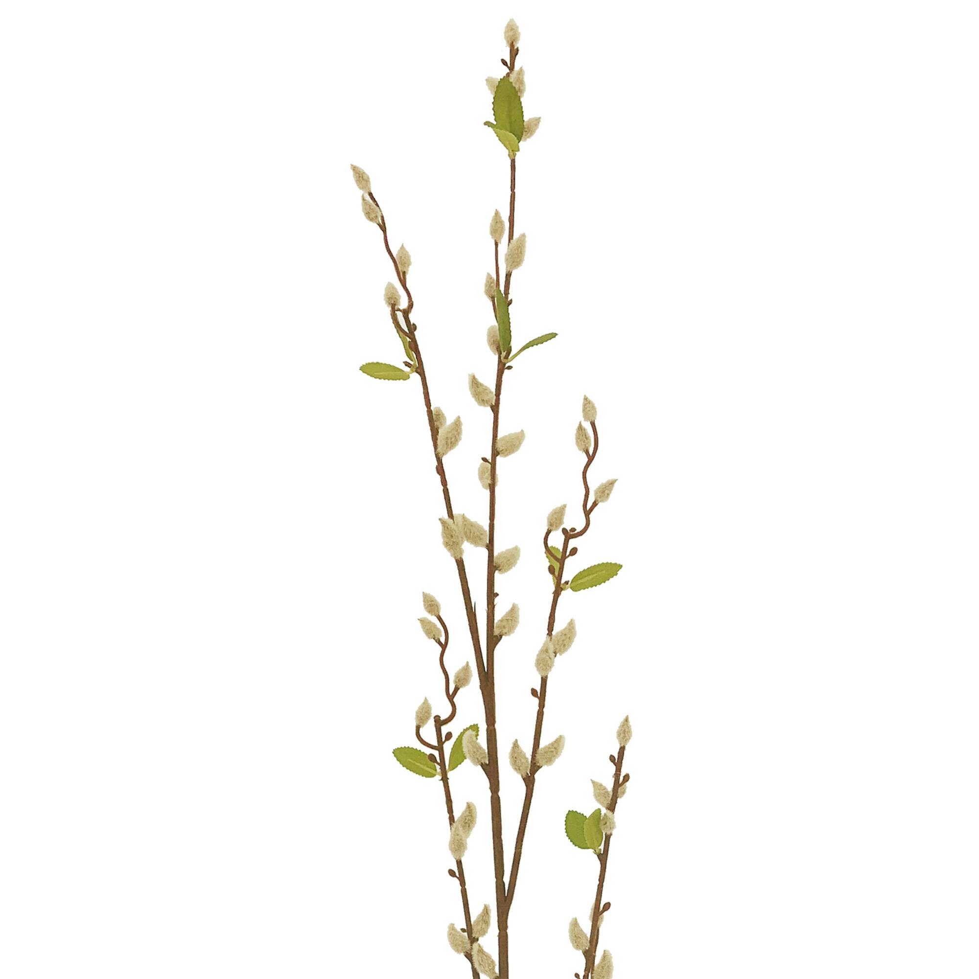 Cream Willow Branch Stem by Ashland®